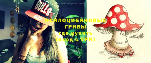 не бодяженный Белокуриха