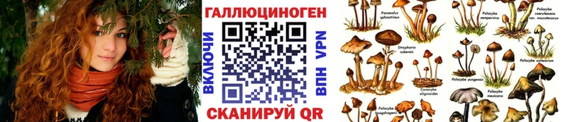 Галлюциногенные грибы MAGIC MUSHROOMS Ладушкин